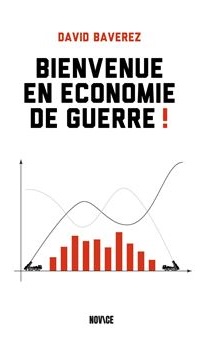 Bienvenue en économie de guerre par David Baverez, Novice, 2024